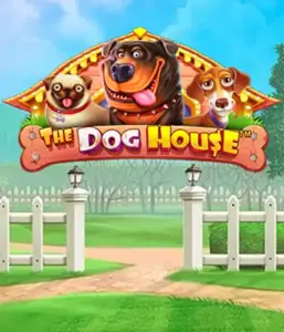 Experience Pragmatic Play's The Dog House, featuring a fun-filled experience among playful pups. Discover features including sticky wilds, aimed at delivering entertaining gameplay. A must-try for pet lovers a lighthearted setting and the opportunity to win big.