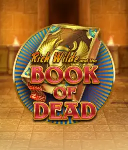 Embark on the thrilling world of Book of Dead Slot by Play'n GO, showcasing vivid graphics of Rich Wilde’s adventurous journey through ancient Egyptian tombs and artifacts. Uncover lost riches with engaging mechanics like free spins, expanding symbols, and a gamble option. Ideal for adventure seekers with a desire for exciting finds.