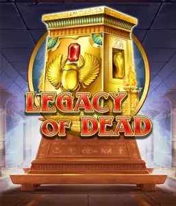 Try  Legacy of Dead slot by Play'n GO featuring complimentary spins and expanding symbols, starting at bets from $0.10.